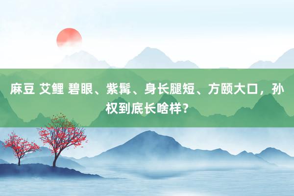 麻豆 艾鲤 碧眼、紫髯、身长腿短、方颐大口，孙权到底长啥样？