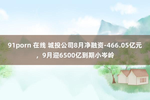 91porn 在线 城投公司8月净融资-466.05亿元，9月迎6500亿到期小岑岭