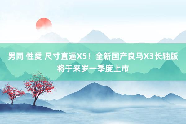 男同 性愛 尺寸直逼X5！全新国产良马X3长轴版将于来岁一季度上市