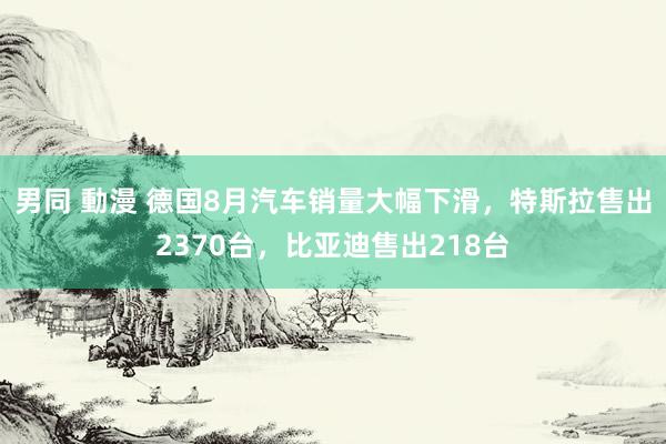 男同 動漫 德国8月汽车销量大幅下滑，特斯拉售出2370台，比亚迪售出218台