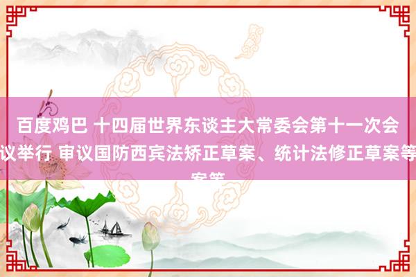 百度鸡巴 十四届世界东谈主大常委会第十一次会议举行 审议国防西宾法矫正草案、统计法修正草案等