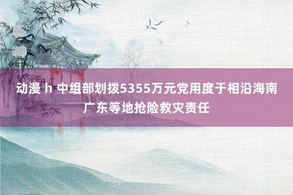 动漫 h 中组部划拨5355万元党用度于相沿海南广东等地抢险救灾责任