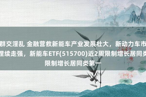 群交淫乱 金融营救新能车产业发展壮大，新动力车市有望捏续走强，新能车ETF(515700)近2周限制增长居同类第一