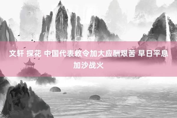 文轩 探花 中国代表敕令加大应酬艰苦 早日平息加沙战火