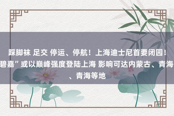 踩脚袜 足交 停运、停航！上海迪士尼首要闭园！“贝碧嘉”或以巅峰强度登陆上海 影响可达内蒙古、青海等地