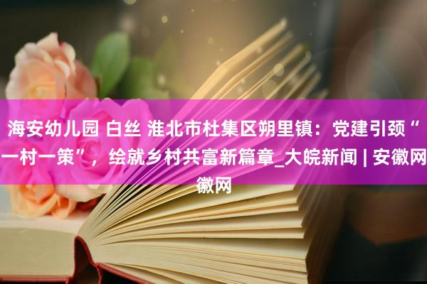 海安幼儿园 白丝 淮北市杜集区朔里镇：党建引颈“一村一策”，绘就乡村共富新篇章_大皖新闻 | 安徽网