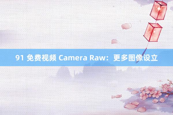 91 免费视频 Camera Raw：更多图像设立