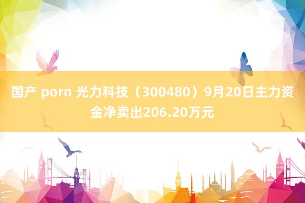 国产 porn 光力科技（300480）9月20日主力资金净卖出206.20万元