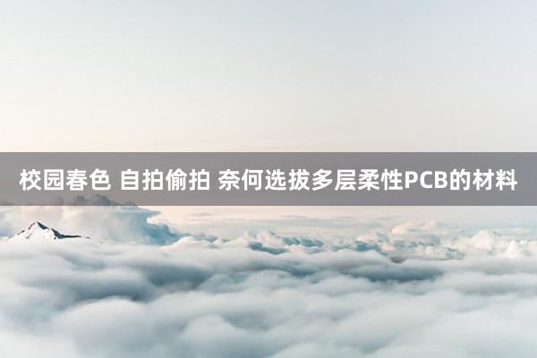 校园春色 自拍偷拍 奈何选拔多层柔性PCB的材料