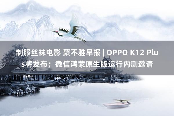 制服丝袜电影 聚不雅早报 | OPPO K12 Plus将发布；微信鸿蒙原生版运行内测邀请