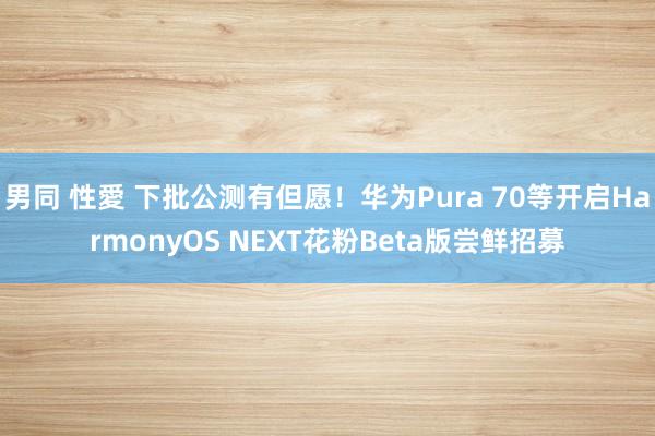 男同 性愛 下批公测有但愿！华为Pura 70等开启HarmonyOS NEXT花粉Beta版尝鲜招募