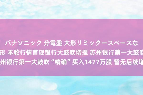 パナソニック 分電盤 大形リミッタースペースなし 露出・半埋込両用形 本轮行情首现银行大鼓吹增捏 苏州银行第一大鼓吹“精确”买入1477万股 暂无后续增捏野心