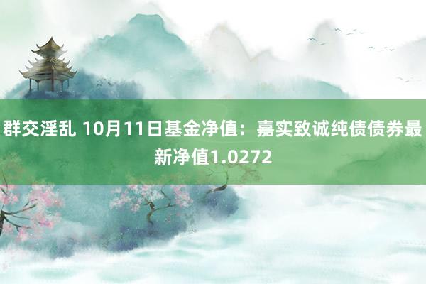 群交淫乱 10月11日基金净值：嘉实致诚纯债债券最新净值1.0272