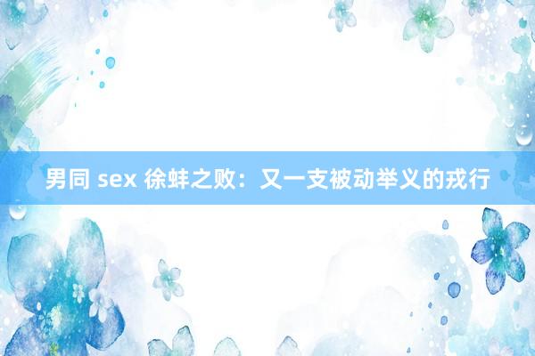 男同 sex 徐蚌之败：又一支被动举义的戎行