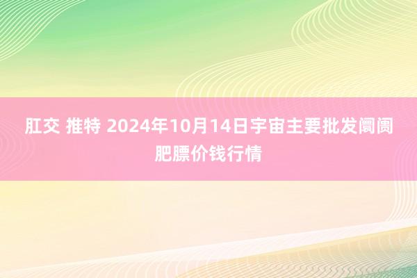 肛交 推特 2024年10月14日宇宙主要批发阛阓肥膘价钱行情