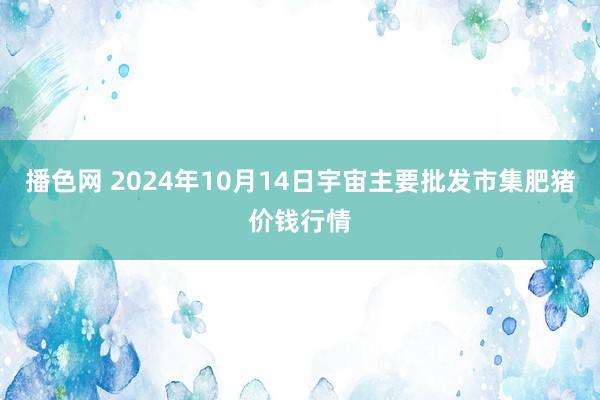 播色网 2024年10月14日宇宙主要批发市集肥猪价钱行情