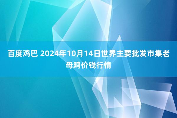 百度鸡巴 2024年10月14日世界主要批发市集老母鸡价钱行情