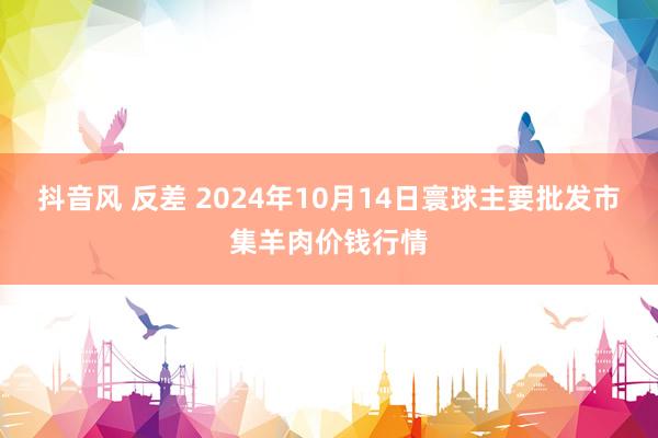 抖音风 反差 2024年10月14日寰球主要批发市集羊肉价钱行情