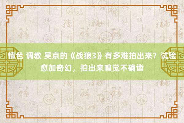 情色 调教 吴京的《战狼3》有多难拍出来？试验愈加奇幻，拍出来嗅觉不确凿