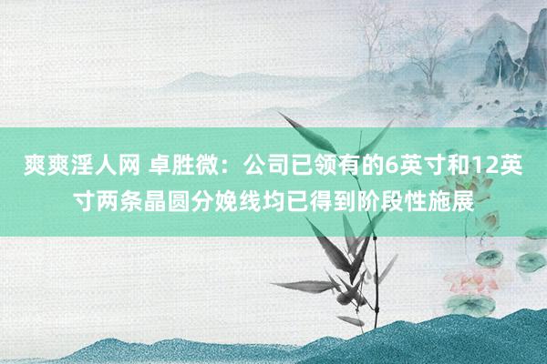 爽爽淫人网 卓胜微：公司已领有的6英寸和12英寸两条晶圆分娩线均已得到阶段性施展