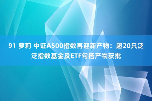 91 萝莉 中证A500指数再迎新产物：超20只泛泛指数基金及ETF勾搭产物获批