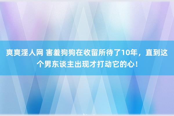 爽爽淫人网 害羞狗狗在收留所待了10年，直到这个男东谈主出现才打动它的心！