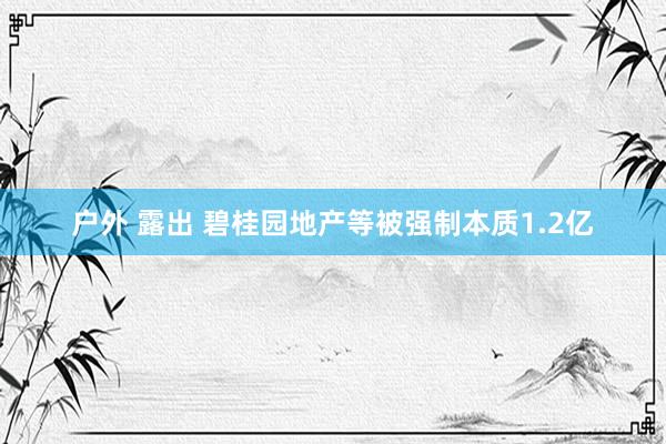 户外 露出 碧桂园地产等被强制本质1.2亿