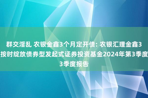 群交淫乱 农银金鑫3个月定开债: 农银汇理金鑫3个月按时绽放债券型发起式证券投资基金2024年第3季度报告