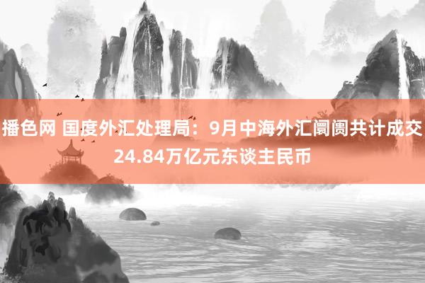 播色网 国度外汇处理局：9月中海外汇阛阓共计成交24.84万亿元东谈主民币