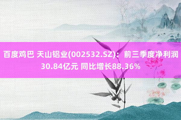 百度鸡巴 天山铝业(002532.SZ)：前三季度净利润30.84亿元 同比增长88.36%