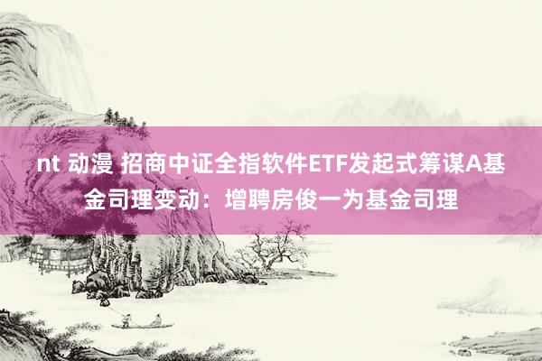 nt 动漫 招商中证全指软件ETF发起式筹谋A基金司理变动：增聘房俊一为基金司理