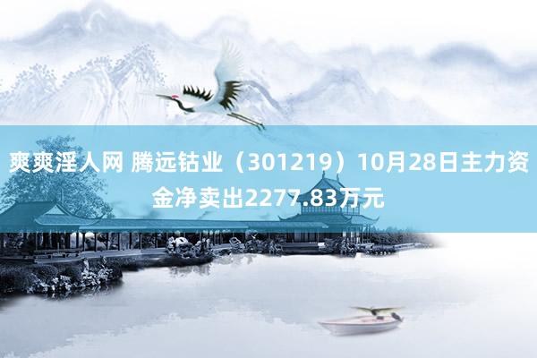 爽爽淫人网 腾远钴业（301219）10月28日主力资金净卖出2277.83万元