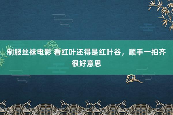 制服丝袜电影 看红叶还得是红叶谷，顺手一拍齐很好意思