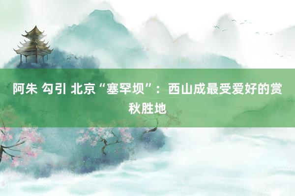 阿朱 勾引 北京“塞罕坝”：西山成最受爱好的赏秋胜地