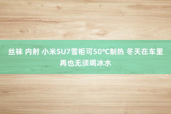 丝袜 内射 小米SU7雪柜可50℃制热 冬天在车里再也无须喝冰水