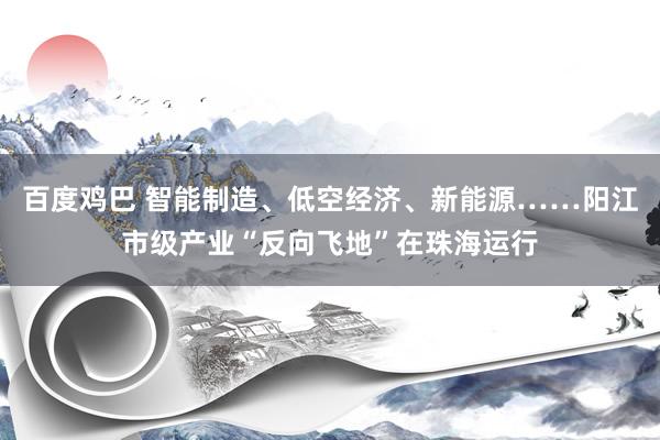 百度鸡巴 智能制造、低空经济、新能源……阳江市级产业“反向飞地”在珠海运行