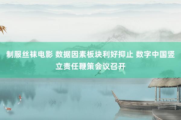 制服丝袜电影 数据因素板块利好抑止 数字中国竖立责任鞭策会议召开