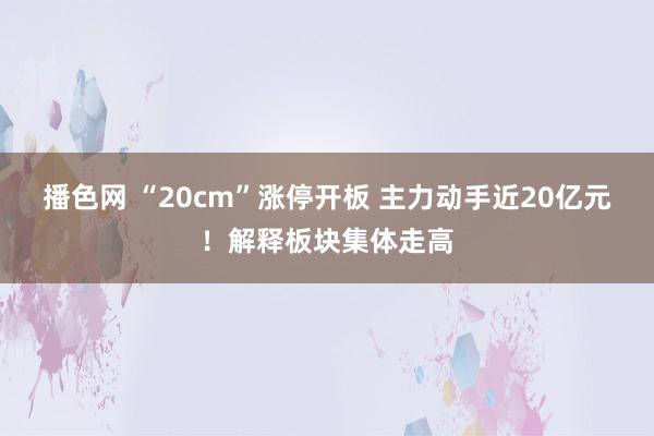 播色网 “20cm”涨停开板 主力动手近20亿元！解释板块集体走高