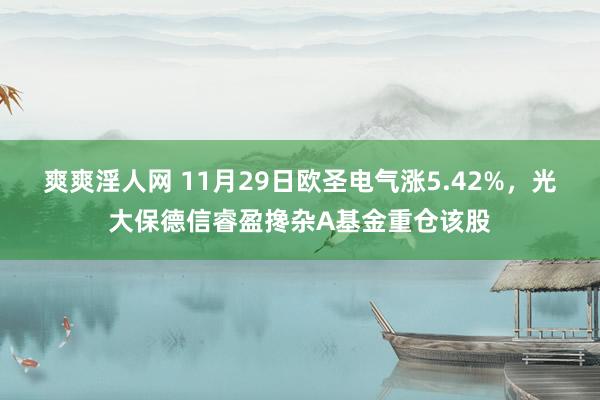 爽爽淫人网 11月29日欧圣电气涨5.42%，光大保德信睿盈搀杂A基金重仓该股