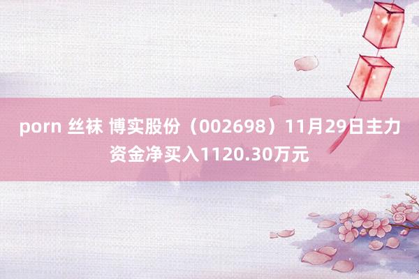 porn 丝袜 博实股份（002698）11月29日主力资金净买入1120.30万元