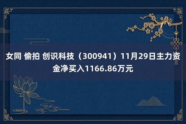 女同 偷拍 创识科技（300941）11月29日主力资金净买入1166.86万元