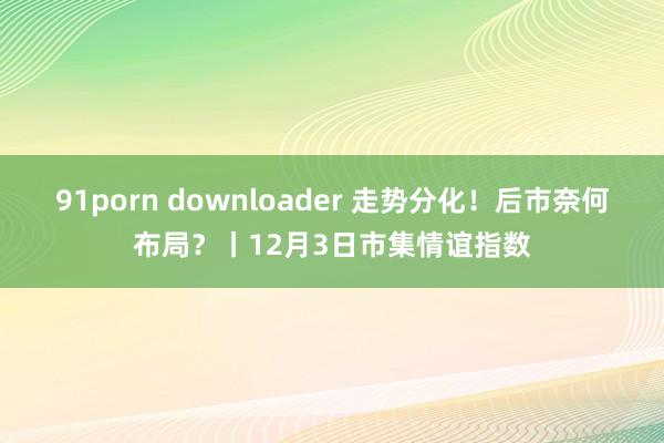 91porn downloader 走势分化！后市奈何布局？丨12月3日市集情谊指数