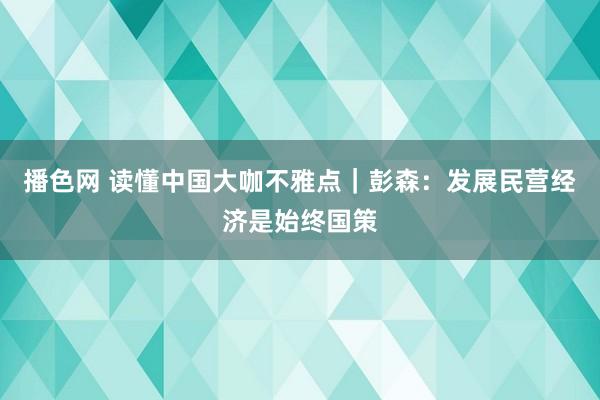 播色网 读懂中国大咖不雅点｜彭森：发展民营经济是始终国策