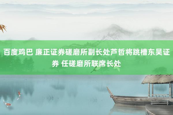 百度鸡巴 廉正证券磋磨所副长处芦哲将跳槽东吴证券 任磋磨所联席长处