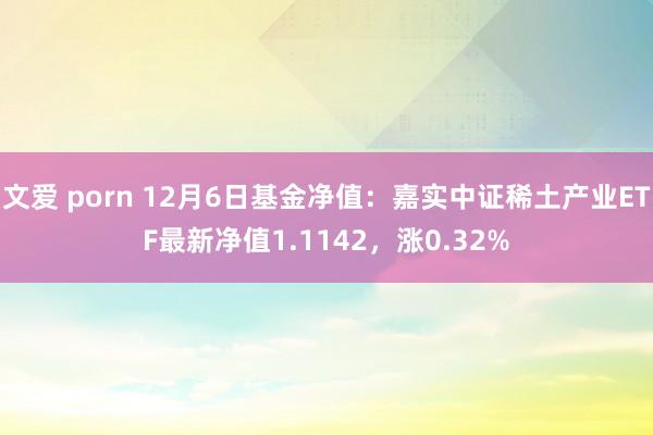 文爱 porn 12月6日基金净值：嘉实中证稀土产业ETF最新净值1.1142，涨0.32%