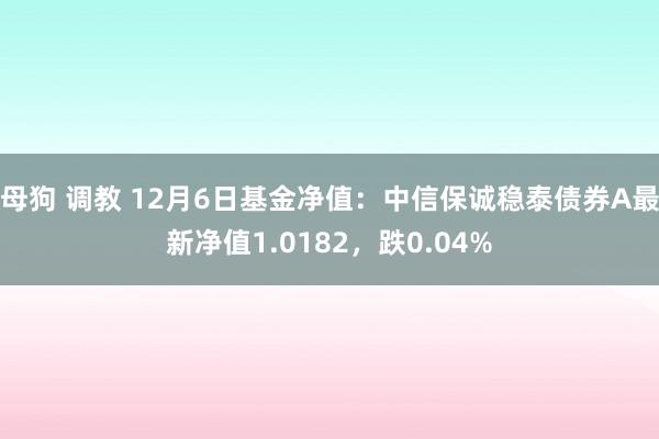 母狗 调教 12月6日基金净值：中信保诚稳泰债券A最新净值1.0182，跌0.04%