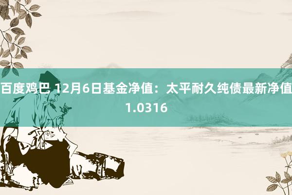 百度鸡巴 12月6日基金净值：太平耐久纯债最新净值1.0316