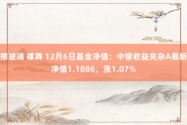 擦玻璃 裸舞 12月6日基金净值：中银收益夹杂A最新净值1.1886，涨1.07%