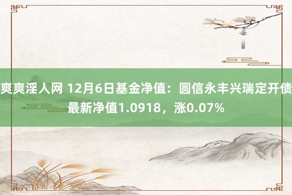 爽爽淫人网 12月6日基金净值：圆信永丰兴瑞定开债最新净值1.0918，涨0.07%