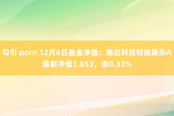 勾引 porn 12月6日基金净值：南边科技转换羼杂A最新净值1.853，涨0.33%